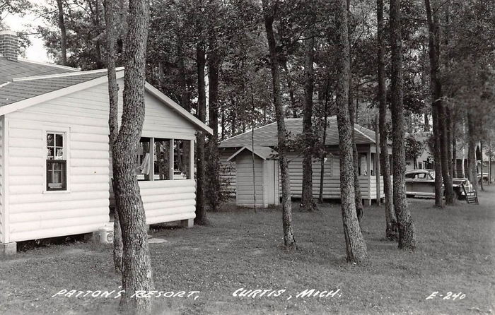 Curtis - Vintage Postcard